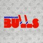 Birmingham Bulls Hockey T-Shirt