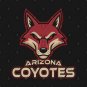 Neon Arizona Coyotes T-Shirt