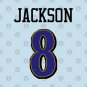 Jackson Ravens T-Shirt