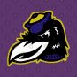 Vintage Style Ravens Mascot T-Shirt