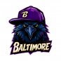 Baltimore Ravens T-Shirt