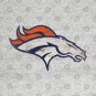 Denver-Broncos T-Shirt