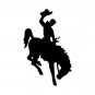 Wyoming Bucking Bronco T-Shirt