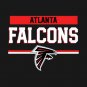 Falcons T-Shirt
