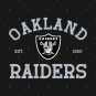 Retro-Badge-Raiders T-Shirt