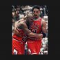 Michael Jordan and Scottie Pippen, Flu game T-Shirt
