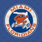 Defunct Miami Floridians Basketball Team T-Shirt