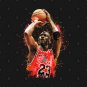 Michael Jordan basketball legend T-Shirt