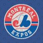 Montreal Expos Vintage Logo T-Shirt