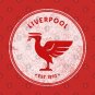 Liverpool Liverbird BIG Vintage Retro RED T-Shirt