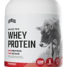 Levels Whey Protein Powder, No Artificial Ingredients, Strawberry, 2LB | 24G of protein Levels Whey Protein Powder, No Artificial Ingredients, Strawberry, 2LB | 24G of protein