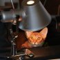 Classic Tolomeo Pinza Style Aluminum Clip Desk Lamp Portable Clamp Table Light