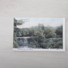 Branksome Chine, Bournemouth. UK. Genuine, Original, Postcard.