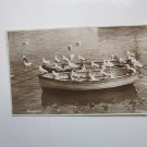 Seagulls, Real Photo RPPC Postcard, Genuine, Original.