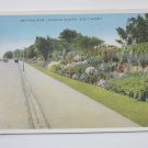 Rotten Row Looking South, Southport, United Kingdom. Genuine, Original, Postcard.