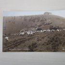 Peaceful Days In Sussex, Used, Genuine, Original, Postcard.