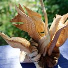 Koi Fish Sealife Statue Parasite Mushroom wood carving Sculpture Balinese Art