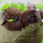 Nautical Sea Turtle Fruit Bowl Centerpiece hand Carved Suar Wood Balinese Art