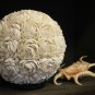 Rose Shell Globe Table Accent Lamp Natural Shell Home Decor Handmade Bali Art