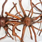 Nature Sun Goddess Tree Root spirit Sculpture Carved wood Balinese art 12" Nature Sun Goddess Tree Root spirit Sculpture Carved wood Balinese art 12"