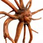 Nature Sun Goddess Tree Root spirit Sculpture Carved wood Balinese art 12"
