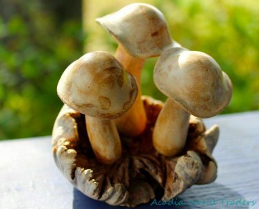 Forest Mushroom Carving Parasite Wood Balinese Art Sculpture handmade