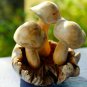 Forest Mushroom Carving Parasite Wood Balinese Art Sculpture handmade