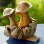 Forest Mushroom Carving Parasite Wood Balinese Art Sculpture handmade