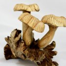 Magic Bali Mushroom Statue Parasite Wood Carving Balinese Art Sculpture