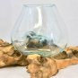 Mouth Blown Terrarium molten glass driftwood Betta Fish Bowl vase Christmas Gift
