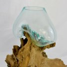 Hand Blown molten Recycled Glass & Teak Wood Terrarium Fish Fruit Bowl Vase
