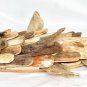 Fish Sea Life Wall Art Sculpture Rustic Driftwood Handmade Wood nautical Decor