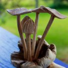 Magic Bali Mushroom Carving Parasite Wood Balinese Art Sculpture hand carved
