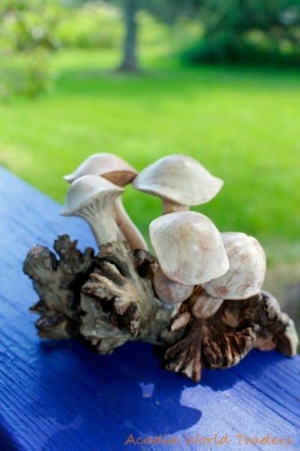 Bali Forest Mushrooms Statue Hand Carved Parasite Wood Balinese Art Sculpture