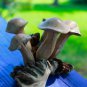 Bali Forest Mushrooms Statue Hand Carved Parasite Wood Balinese Art Sculpture