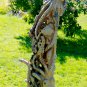 Octopus cephalopod Sealife Statue Hand Carved Wood Sculpture Balinese art 43"