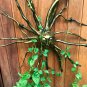 Sun Sunburst Tree Root spirit Wall Art Sculpture Hand Carved wood Bali Folkart