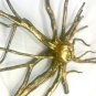 Sun Sunburst Tree Root spirit Wall Art Sculpture Hand Carved wood Bali Folkart