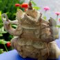 Ganesha statue Elephant Remover Obstacles Balinese Art carved wood sculpture
