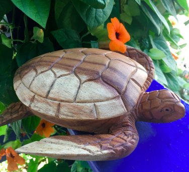 Hand Carved Sea Turtle Trinket Box Jewelry handmade Wood carving Balinese Art