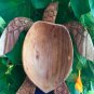 Hand Carved Sea Turtle Trinket Box Jewelry handmade Wood carving Balinese Art