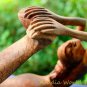 Yoga Mermaid Statue Bow Pose Asana Wood carving handmade Balinese Art sculpture