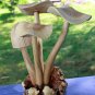 Magic Bali Mushroom Parasite Wood Carving Balinese Art Sculpture hand carved