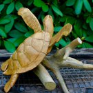 hand Carved Sea Turtle statue Wood Carving Sculpture Natural Root Bali Art