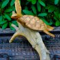 hand Carved Sea Turtle statue Wood Carving Sculpture Natural Root Bali Art