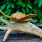 hand Carved Sea Turtle statue Wood Carving Sculpture Natural Root Bali Art