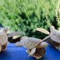 Sea Turtle Statue Parasite Wood Carving Mushroom Hand carved Sealife Bali art