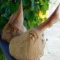 Forest Wizard Tree Spirit Carving Parasite Mushroom Wood Bali Statue Art 9"