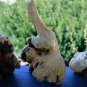 Forest Wizard Tree Spirit Carving Parasite Mushroom Wood Bali Statue Art 9"