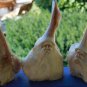 Forest Wizard Tree Spirit Carving Parasite Mushroom Wood Bali Statue Art 9"